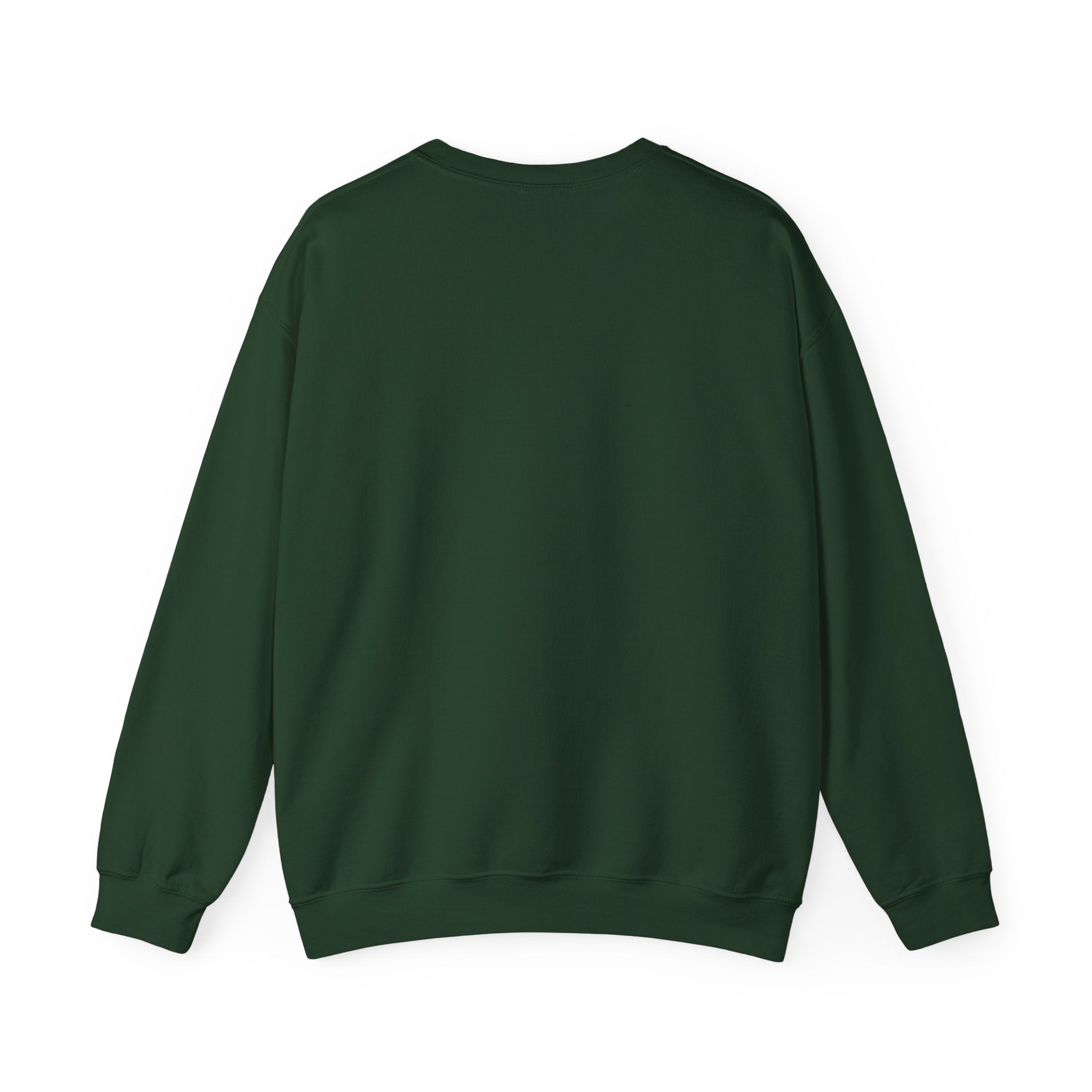Social Battery Drained Crewneck Sweatshirt | Funny Introvert Sweatshirt | Low Battery Graphic Pullover | Mental Health Humor | Unisex Gift